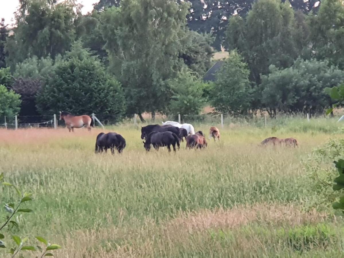 Domek Nad Jeziorem Klepnica Buitenkant foto
